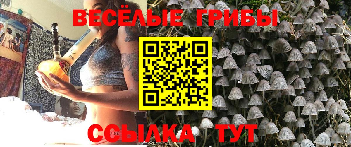 Галлюциногенные грибы ЛСД Каспийск