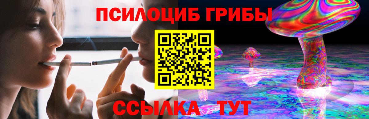 Каспийск  Галлюциногенные грибы мухоморы  Вход с VPN  Псилоцибиновые грибы Psilocybine cubensis 